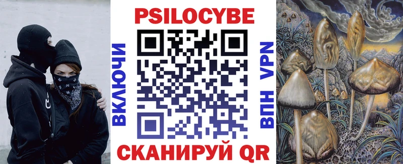 купить наркоту  KRAKEN ССЫЛКА  Галлюциногенные грибы Cubensis  Городище 